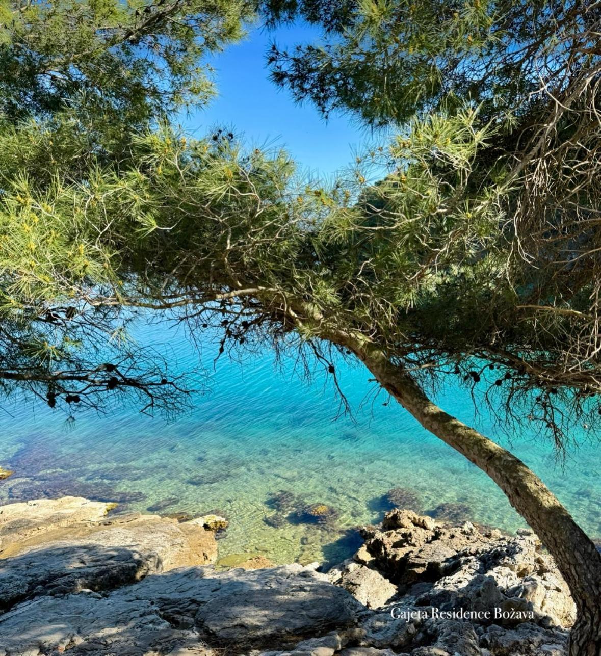Gajeta * Bozava